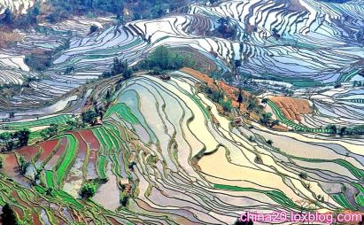 کشور چین -تور چین -تراس های برنج چین-جاهای دیدنی چین